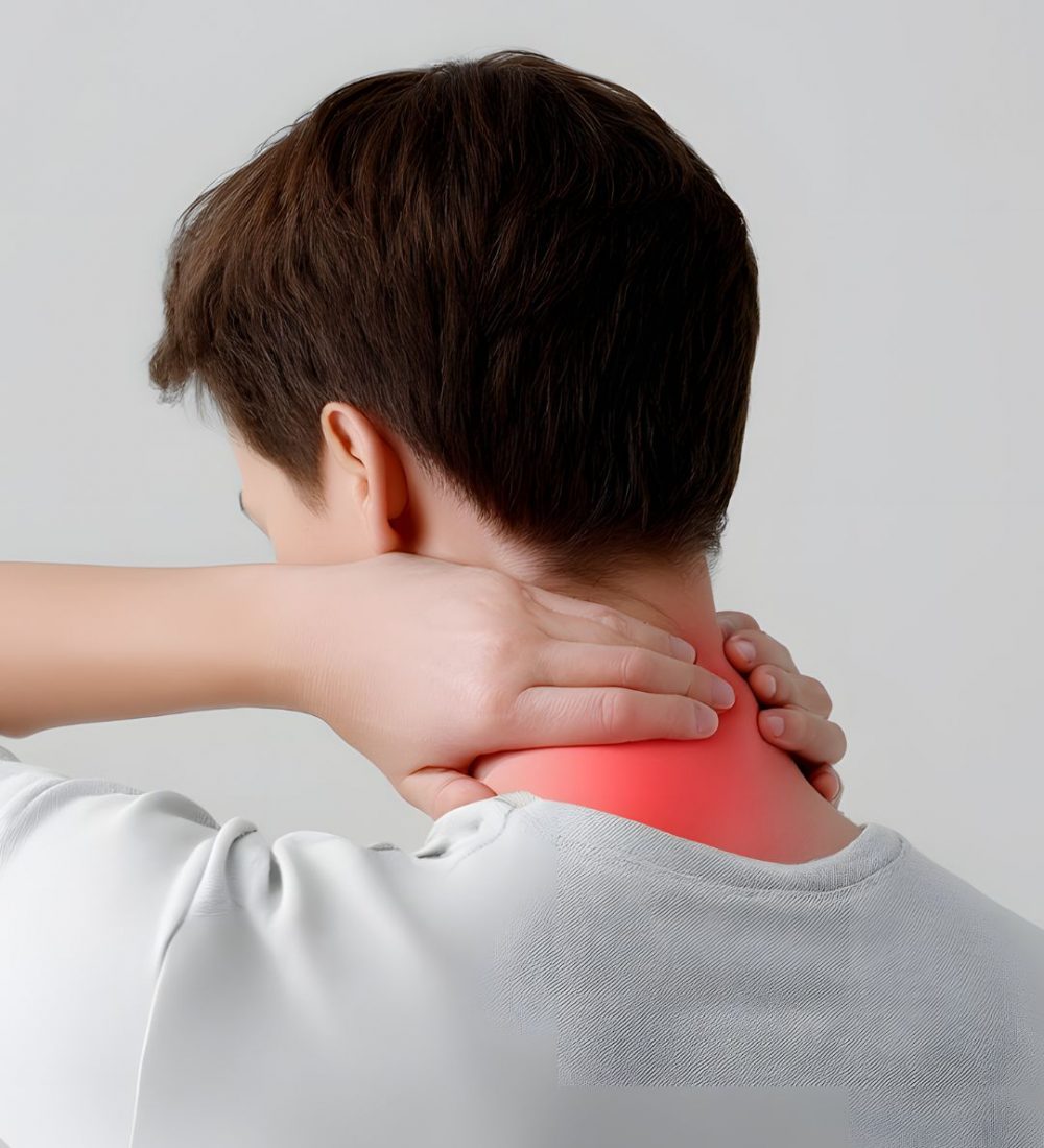 Webseite Bilder Festhetic